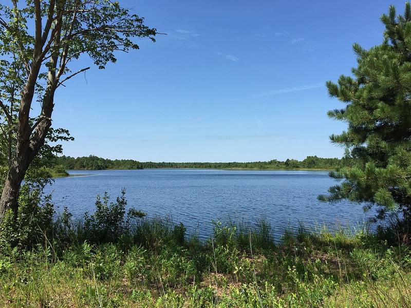 Success Lake in the Colliers Mills Wildlife Management Area, Jackson