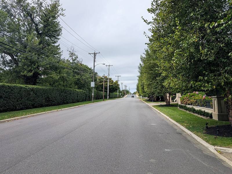 Tree-lined Park Avenue in the Elberon neighborhood of Long Branch